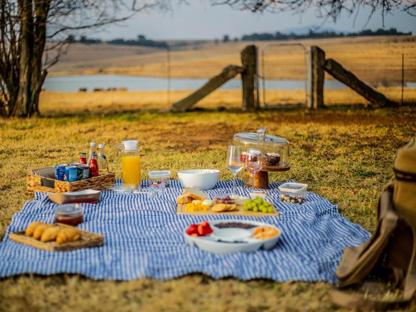 Buffalo Hills Private Game Reserve Harrismith Rom bilde
