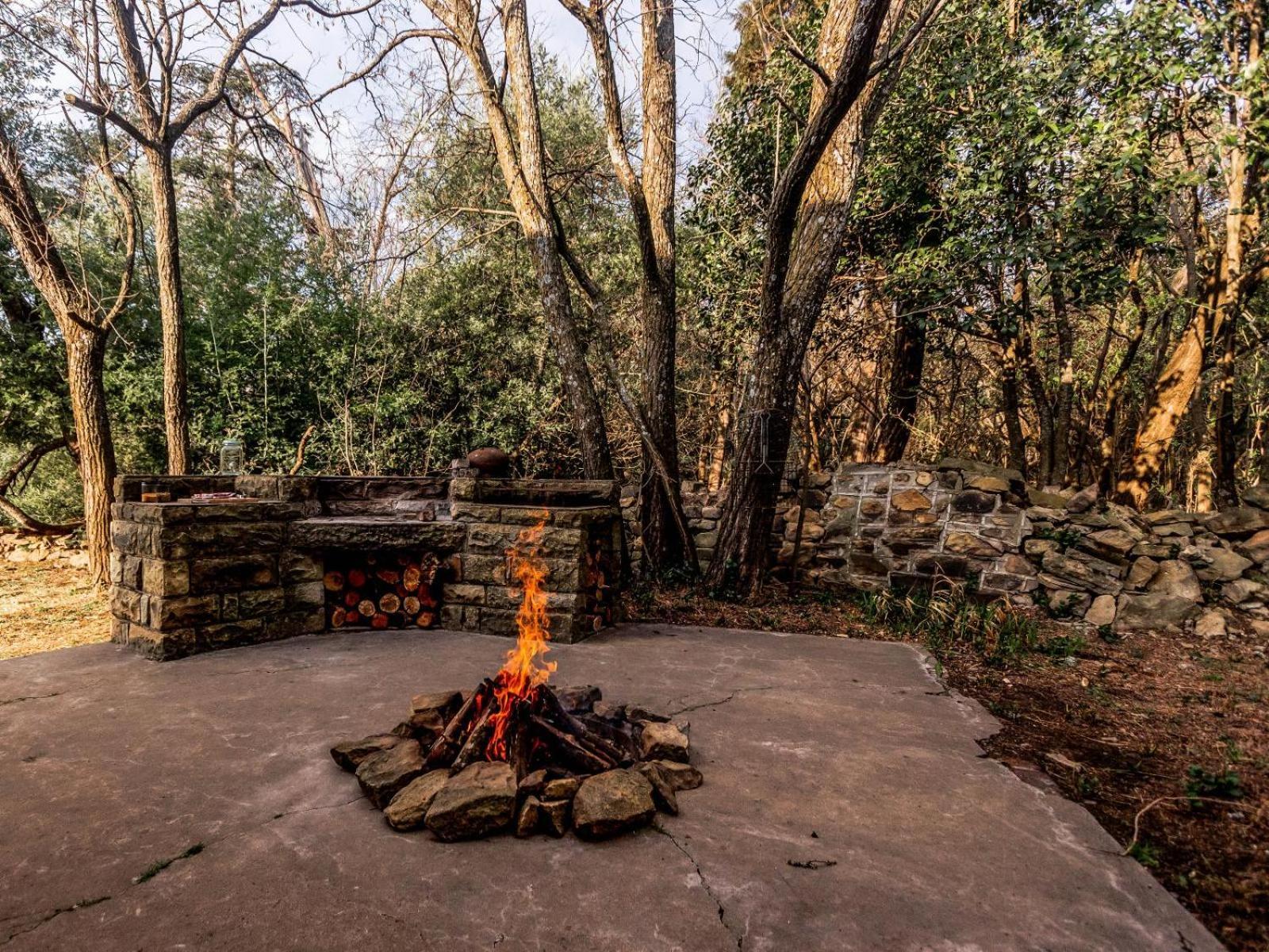 Buffalo Hills Private Game Reserve Harrismith Rom bilde