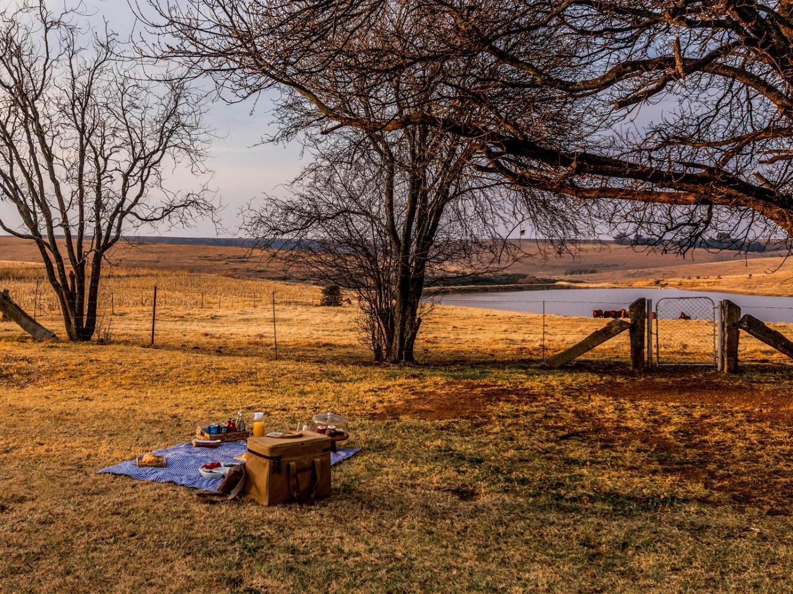 Buffalo Hills Private Game Reserve Harrismith Rom bilde